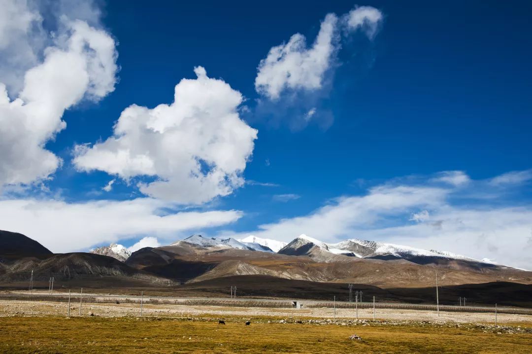 The most beautiful self-driving road in history, connecting Xinzang + Yunnan Tibet, every frame is a blockbuster