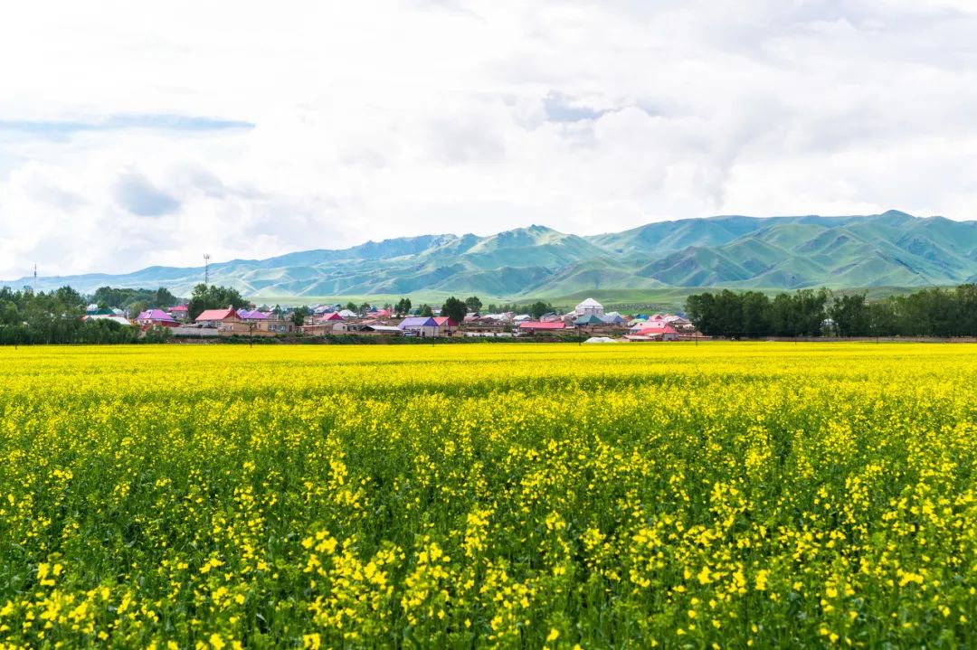 The most beautiful self-driving road in history, connecting Xinzang + Yunnan Tibet, every frame is a blockbuster