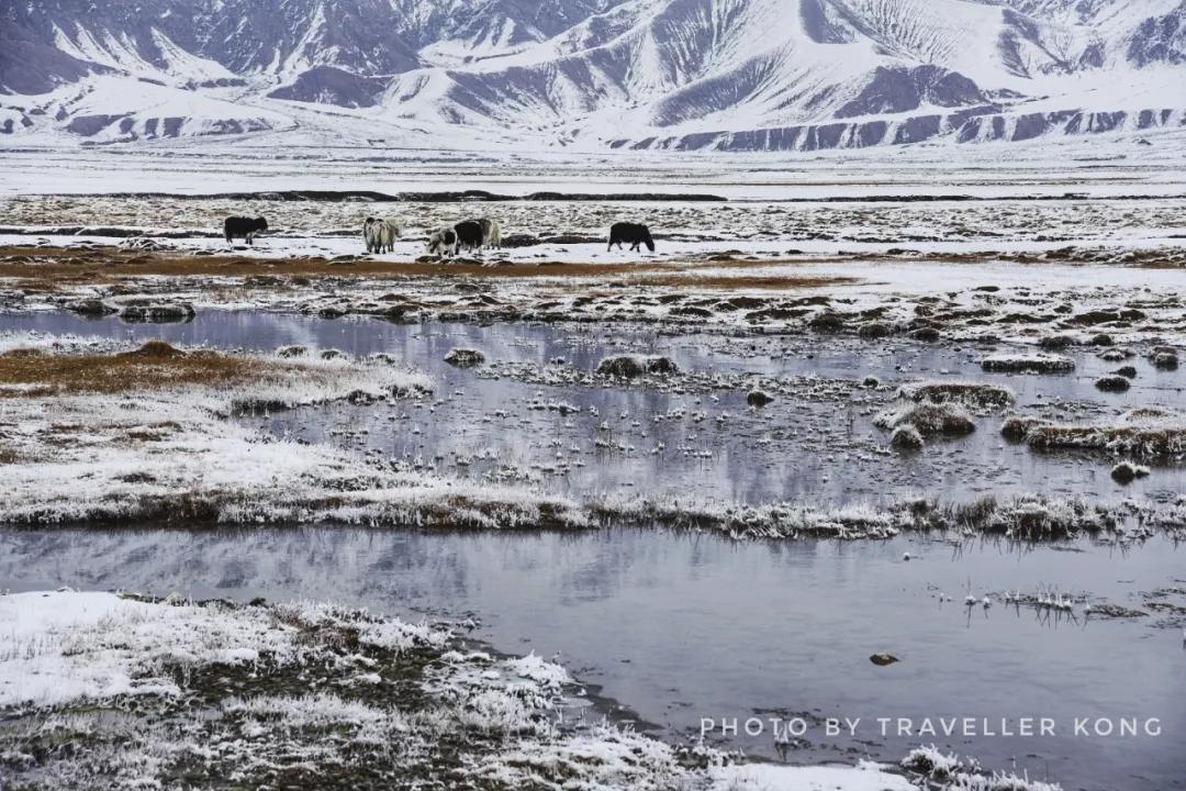 After a lovely snowfall, Golden Grass Beach turns into a doomsday wasteland