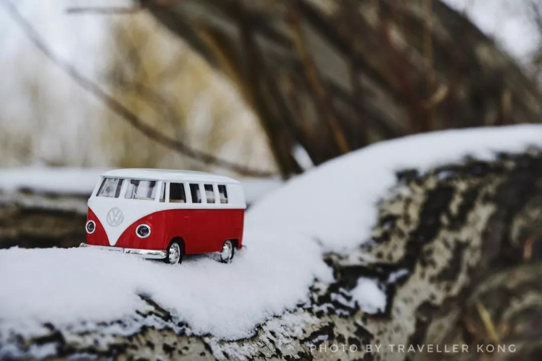 After a lovely snowfall, Golden Grass Beach turns into a doomsday wasteland