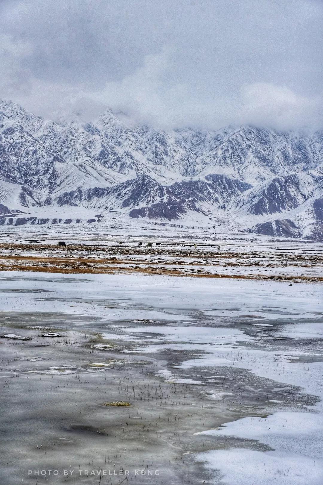 After a lovely snowfall, Golden Grass Beach turns into a doomsday wasteland