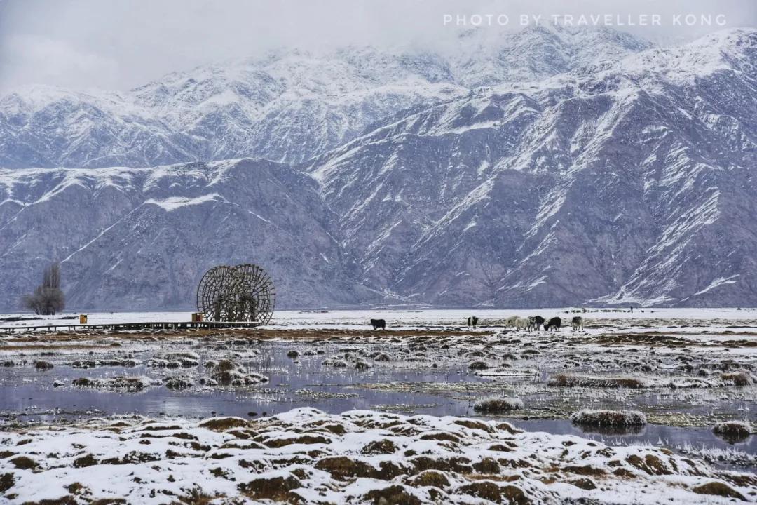 After a lovely snowfall, Golden Grass Beach turns into a doomsday wasteland