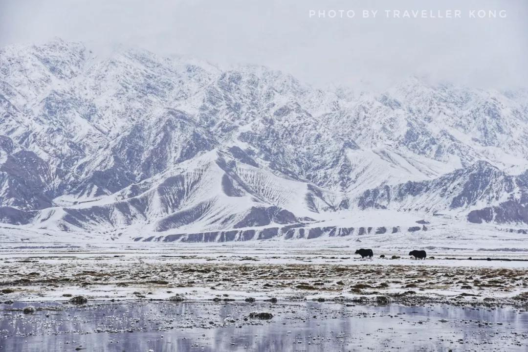 After a lovely snowfall, Golden Grass Beach turns into a doomsday wasteland