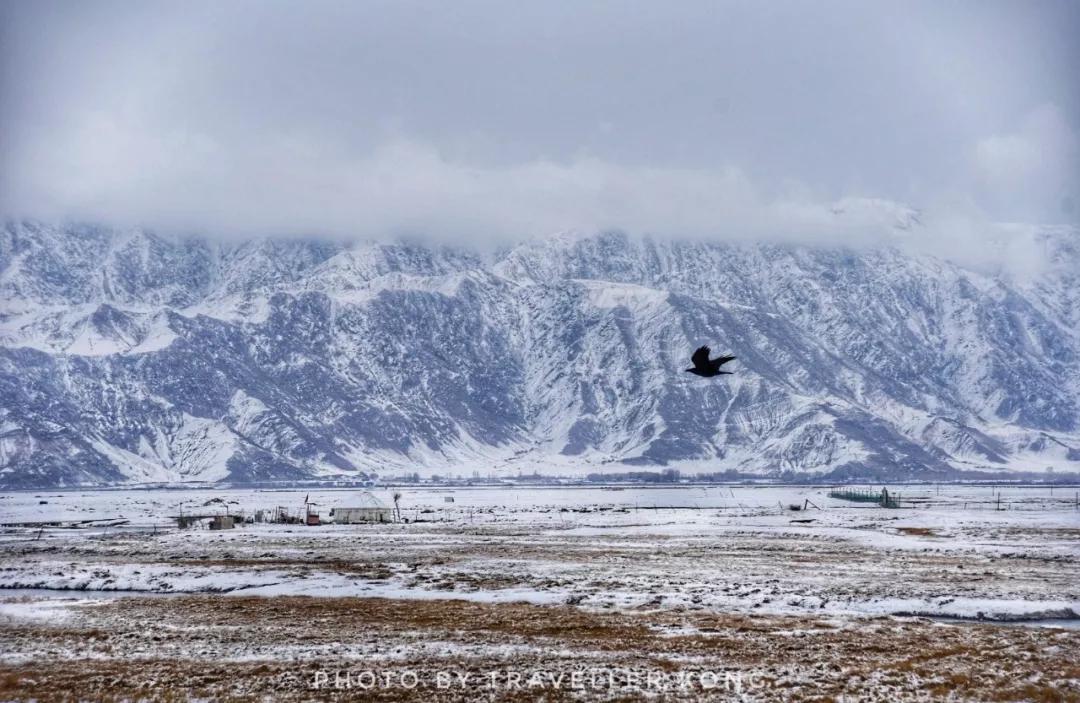 After a lovely snowfall, Golden Grass Beach turns into a doomsday wasteland