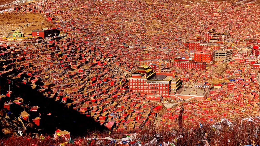 understood! There is such a big difference between Yaqing Temple and Seda Buddhist College