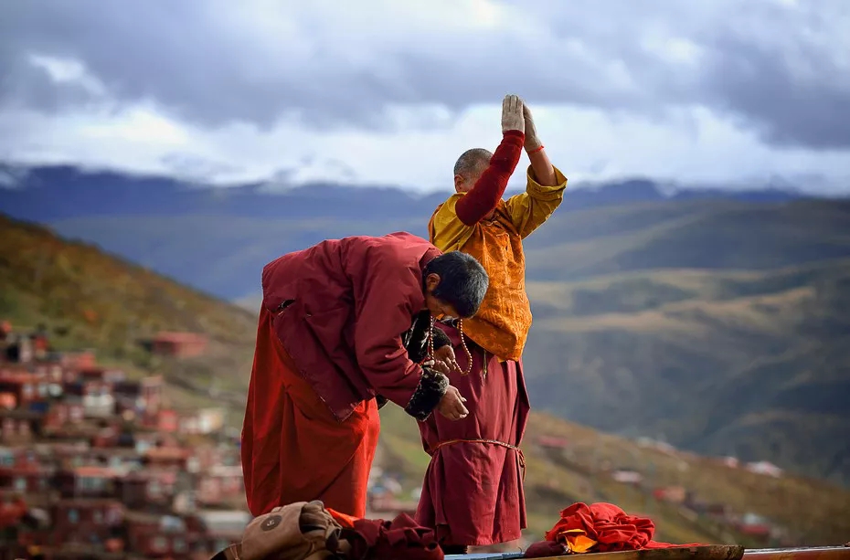 understood! There is such a big difference between Yaqing Temple and Seda Buddhist College