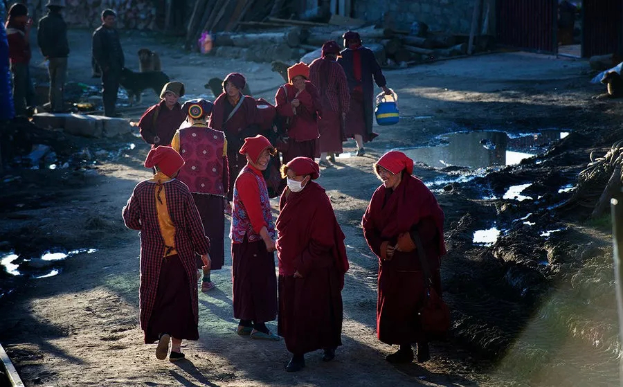 understood! There is such a big difference between Yaqing Temple and Seda Buddhist College