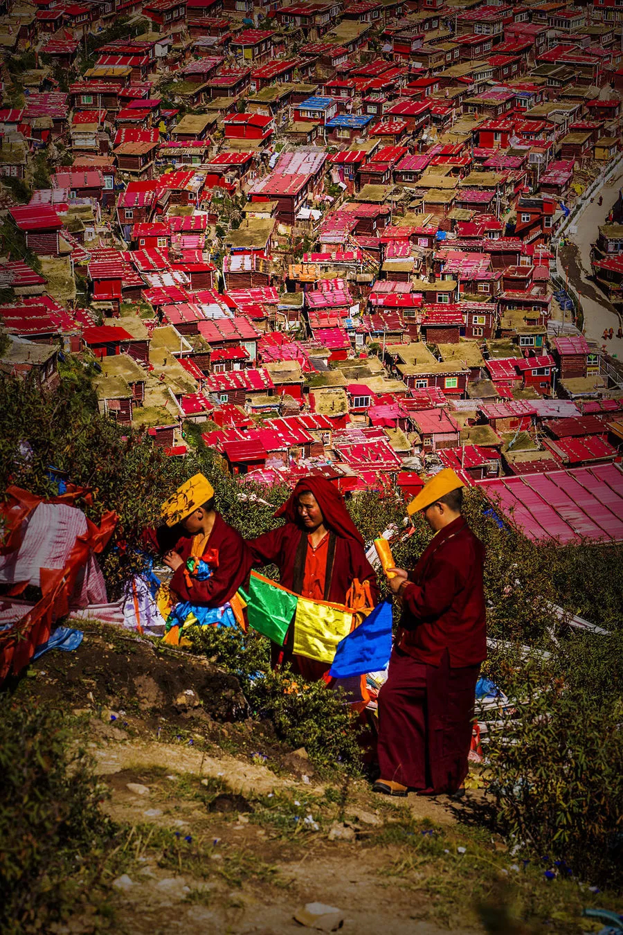 understood! There is such a big difference between Yaqing Temple and Seda Buddhist College