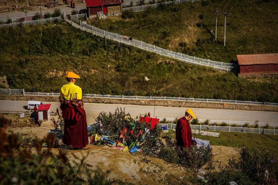 understood! There is such a big difference between Yaqing Temple and Seda Buddhist College