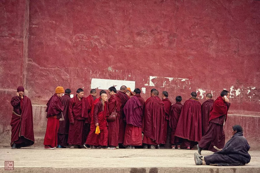 understood! There is such a big difference between Yaqing Temple and Seda Buddhist College