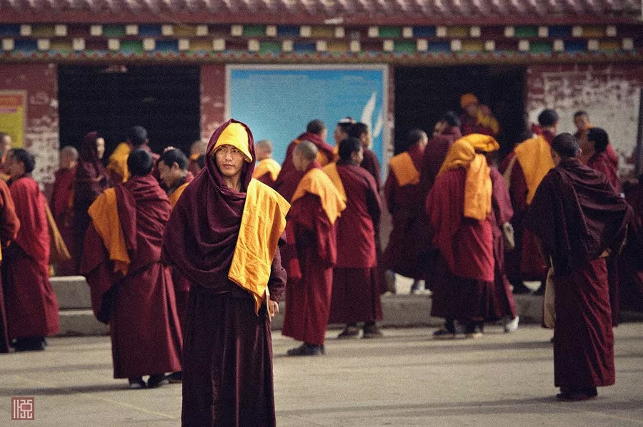 understood! There is such a big difference between Yaqing Temple and Seda Buddhist College