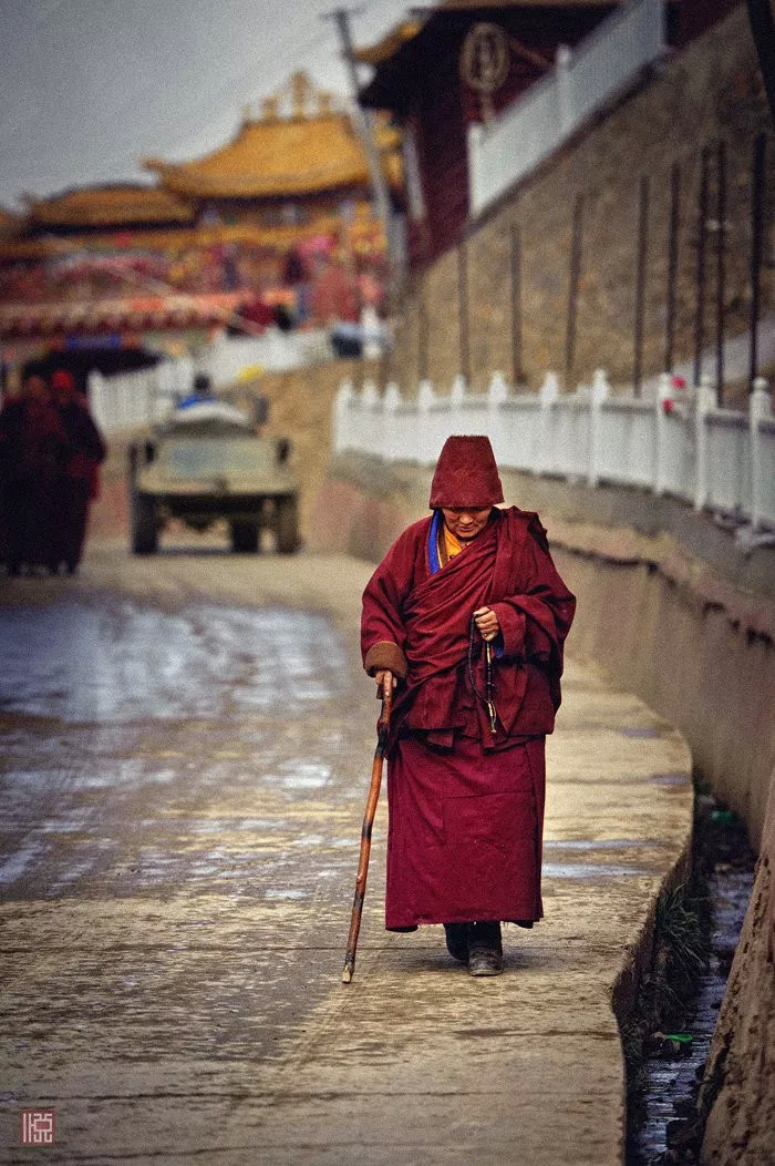 understood! There is such a big difference between Yaqing Temple and Seda Buddhist College