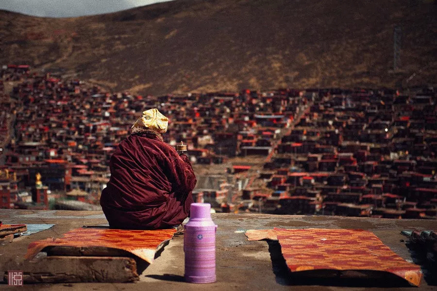 understood! There is such a big difference between Yaqing Temple and Seda Buddhist College