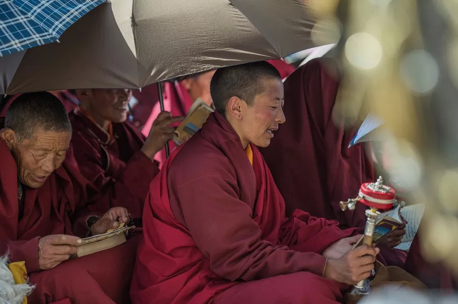 understood! There is such a big difference between Yaqing Temple and Seda Buddhist College