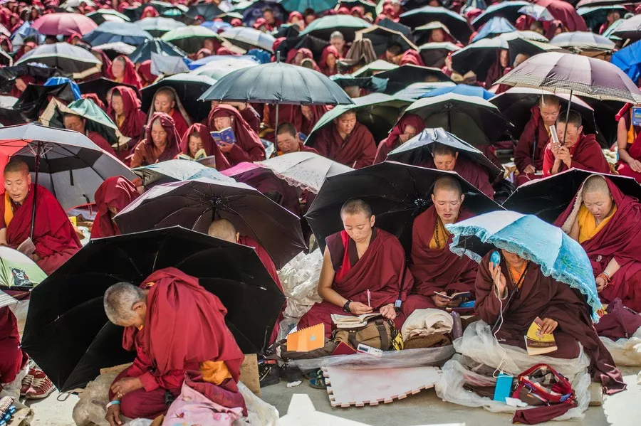 understood! There is such a big difference between Yaqing Temple and Seda Buddhist College