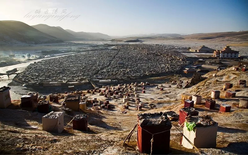 understood! There is such a big difference between Yaqing Temple and Seda Buddhist College