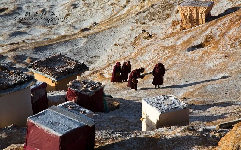 understood! There is such a big difference between Yaqing Temple and Seda Buddhist College