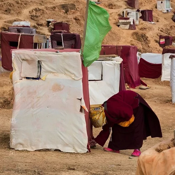 understood! There is such a big difference between Yaqing Temple and Seda Buddhist College