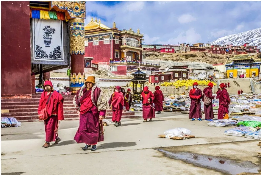 understood! There is such a big difference between Yaqing Temple and Seda Buddhist College