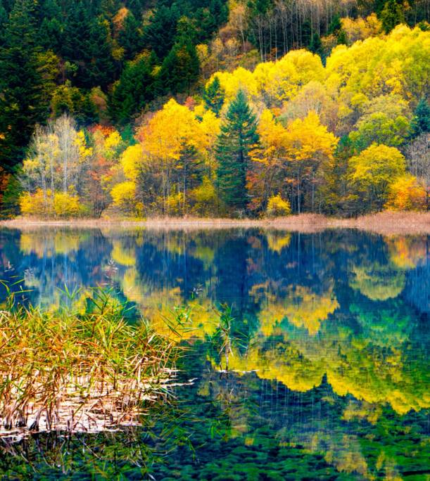 Jiuzhaigou on the left hand, heaven on the right hand, it is the last absolute secret place in China, fortunately it is not popular!