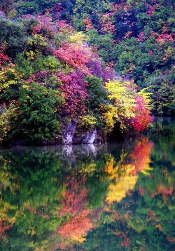 Jiuzhaigou on the left hand, heaven on the right hand, it is the last absolute secret place in China, fortunately it is not popular!