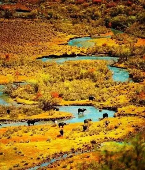 Jiuzhaigou on the left hand, heaven on the right hand, it is the last absolute secret place in China, fortunately it is not popular!