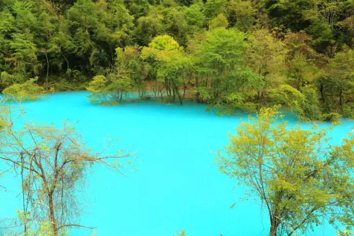 Jiuzhaigou on the left hand, heaven on the right hand, it is the last absolute secret place in China, fortunately it is not popular!