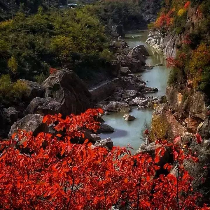 Jiuzhaigou on the left hand, heaven on the right hand, it is the last absolute secret place in China, fortunately it is not popular!