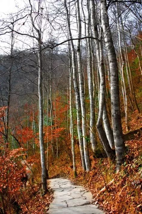 Jiuzhaigou on the left hand, heaven on the right hand, it is the last absolute secret place in China, fortunately it is not popular!