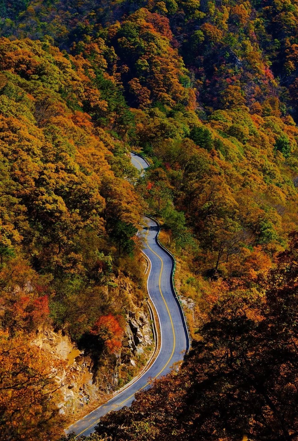 Vision丨Jinzhai Martin Highway is so beautiful! With specific lines!