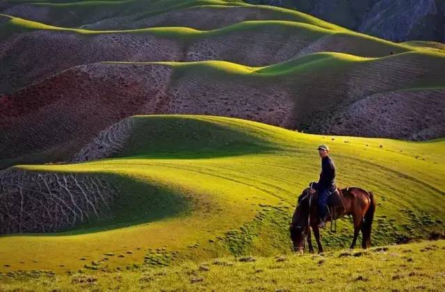 There is a kind of travel called going to the grassland in summer