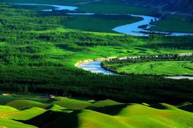 There is a kind of travel called going to the grassland in summer