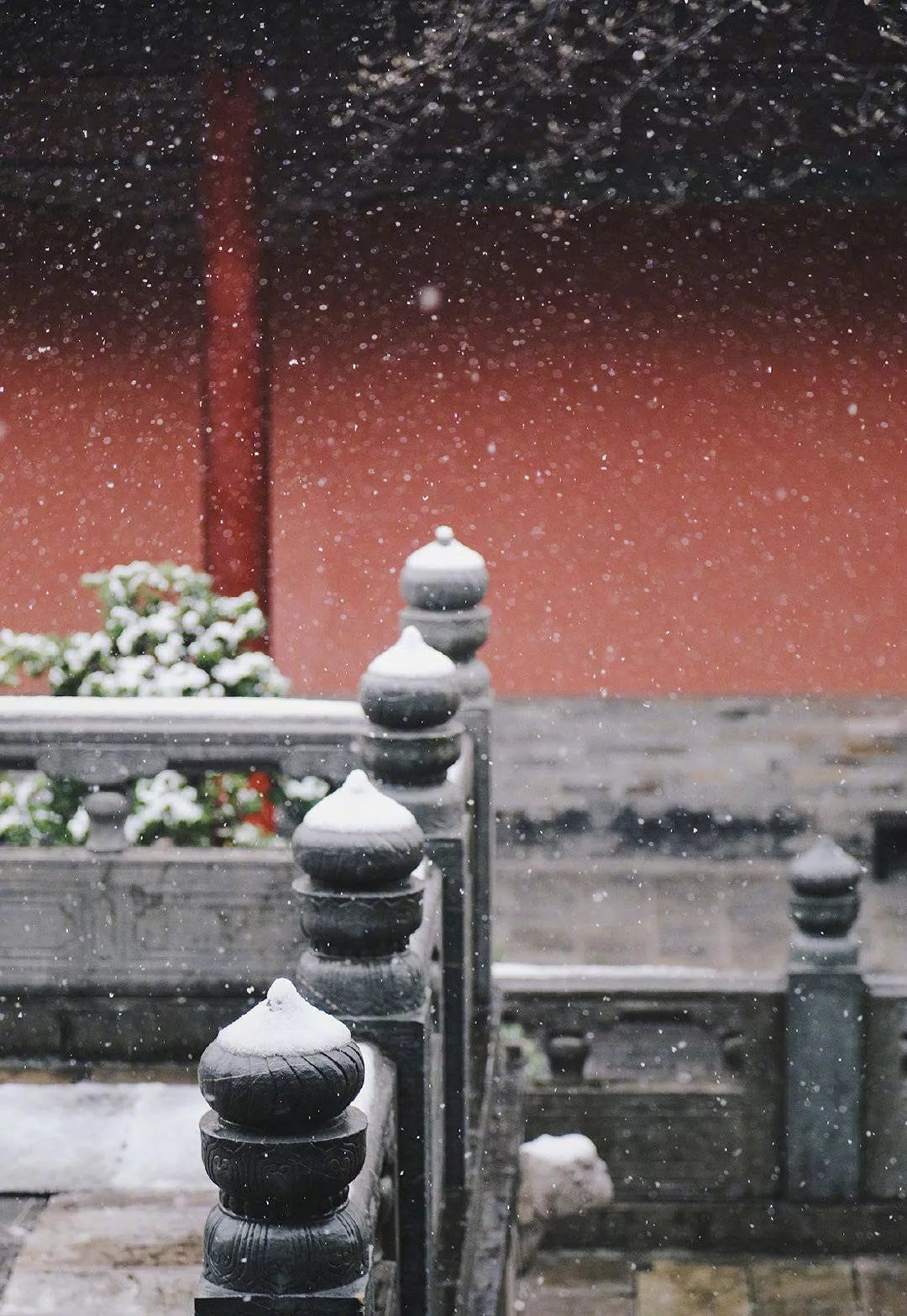 I heard that it is snowing in Nanjing