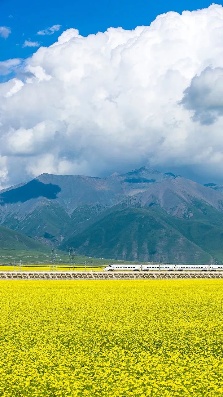 If you miss Qinghai, you will miss 12 trips