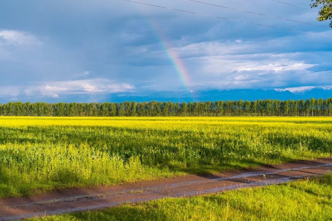 The 10 most desirable self-driving routes in China have captured the beauty of the whole of China!