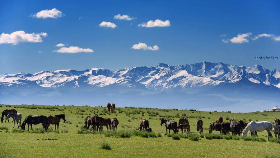 China-Mongolia-Russia Cross-Border Crossing—A Scenic Spot Not to Be Missed in Mongolia