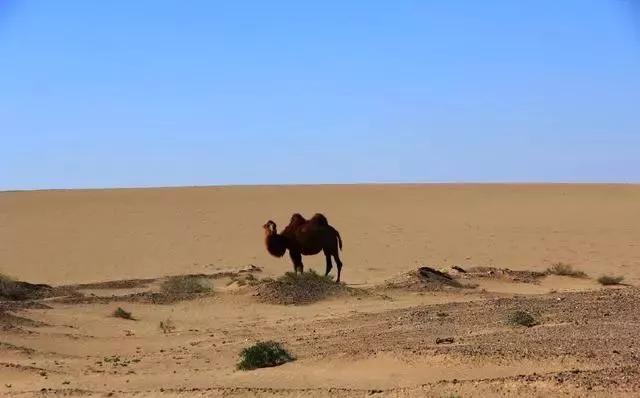 China-Mongolia-Russia Cross-Border Crossing—A Scenic Spot Not to Be Missed in Mongolia