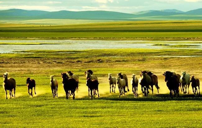 China-Mongolia-Russia Cross-Border Crossing—A Scenic Spot Not to Be Missed in Mongolia