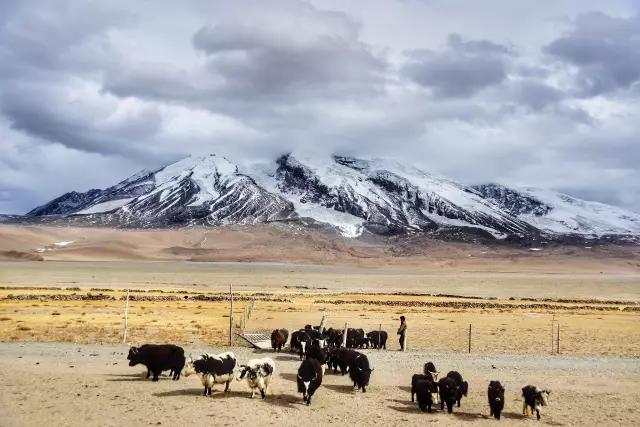 Southern Xinjiang | Distant mountains on the roof of the world