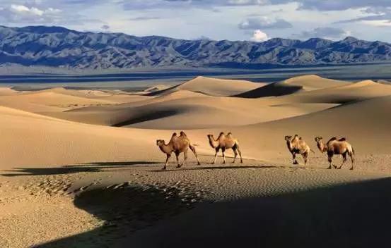 Introduction of Attractions along the China-Mongolia-Russia Self-Driving Tour