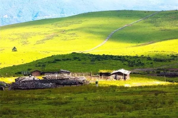 The secret Geladan Grassland - a rare place in Lijiang that has not been infected by commercial viruses