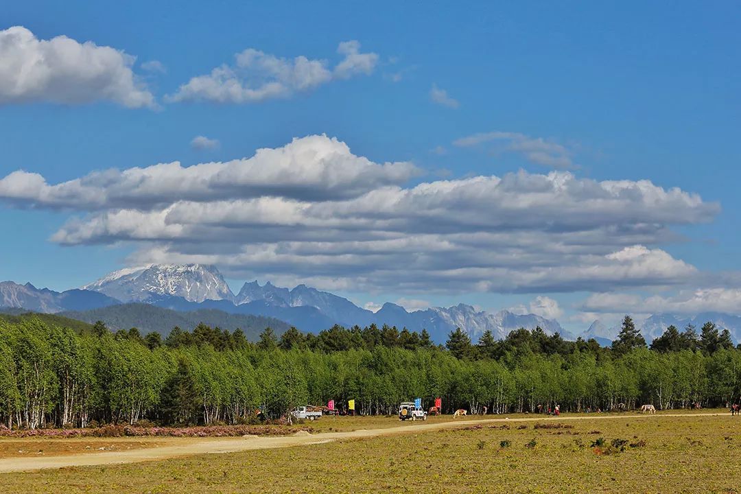 Ten years of youth gathered in Lijiang, leading the future to go wild. Just ask you, will you come?