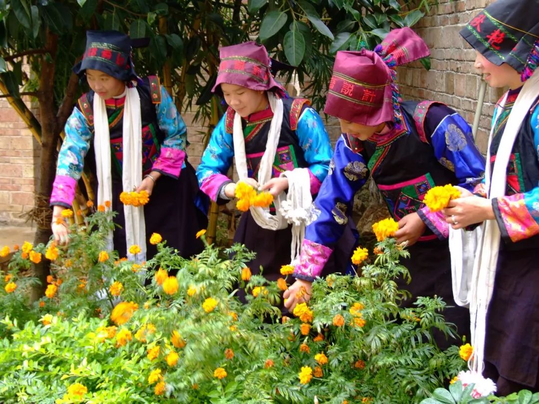 46 pictures, understand the eleven branches of the Zhuang nationality in Wenshan, Yunnan