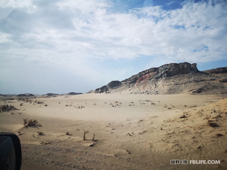 Notes on traveling through the primitive Populus euphratica forest in Hami South Lake