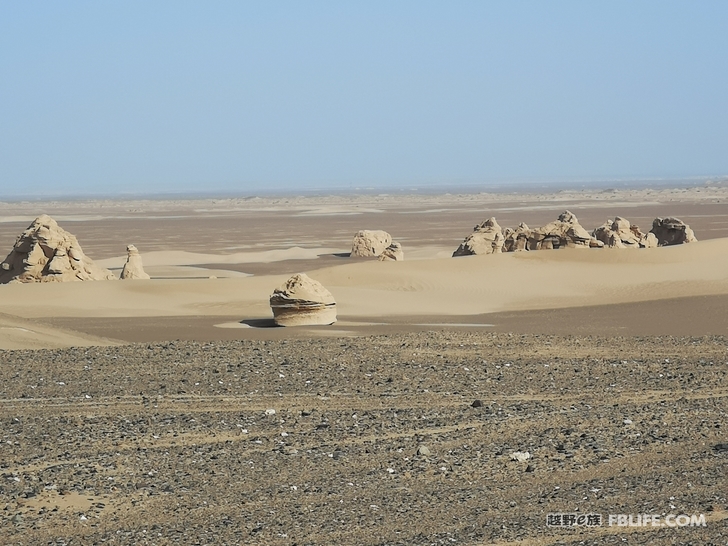 Notes on traveling through the primitive Populus euphratica forest in Hami South Lake