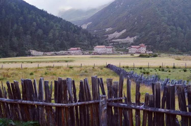 Western Sichuan | Drinking and chatting in Gongga Temple, only love is above Buddhism