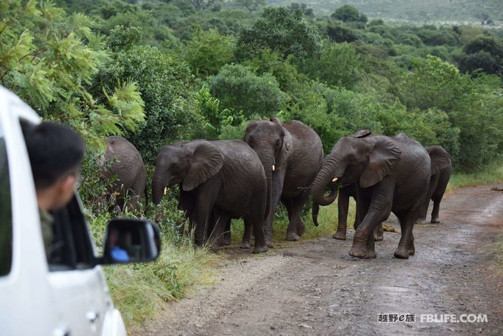 Chinese people's first African diving + self-driving through depth tour - play hi (1)