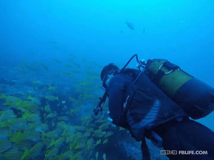 Chinese people's first African diving + self-driving through depth tour - play hi (1)