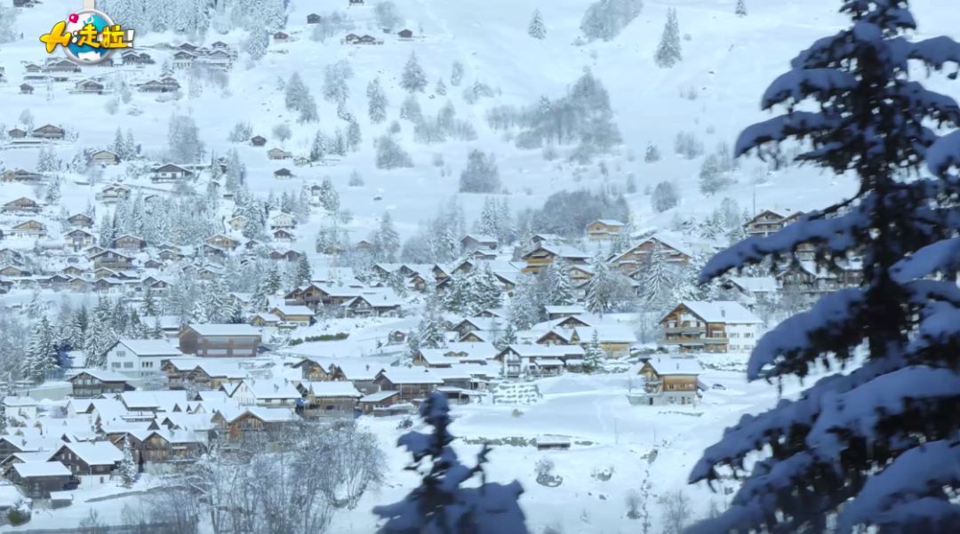 Never go to Switzerland in winter!