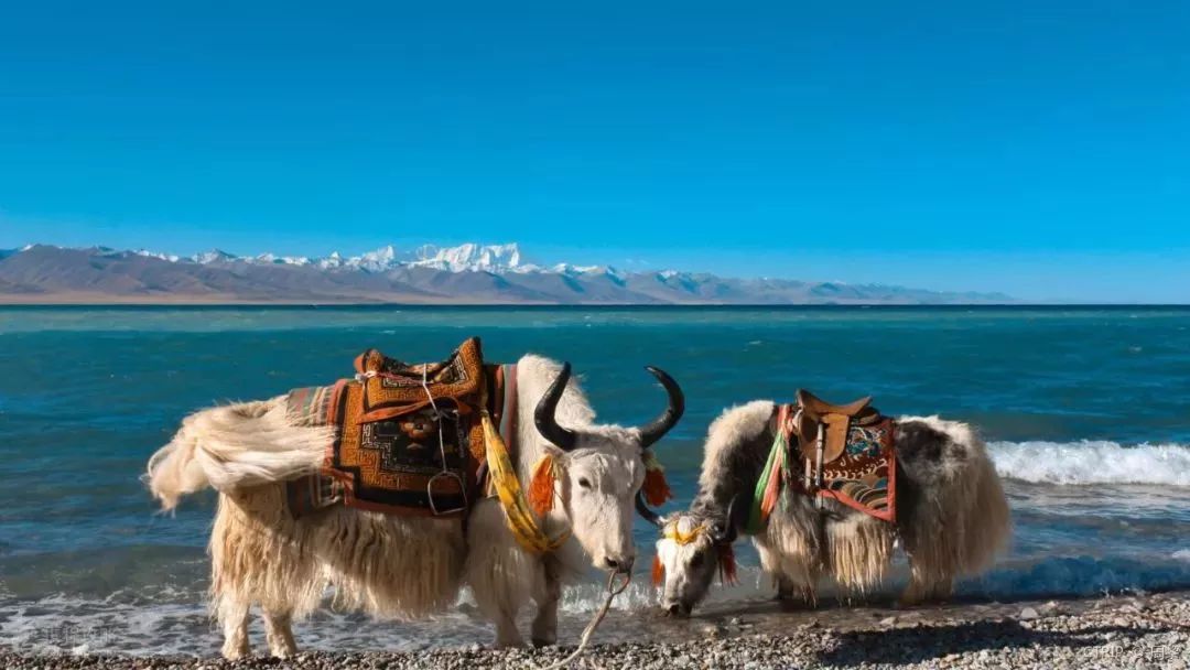 Tibet: Where there is faith is heaven!